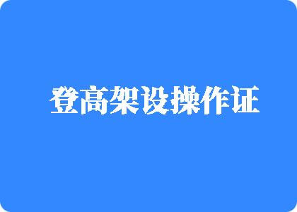 操逼视频免费看看看你的登高架设操作证